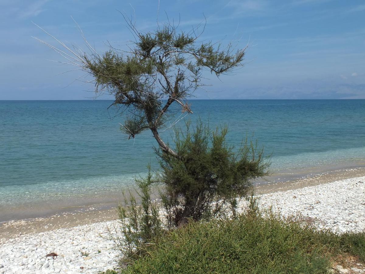 Frosos Beachfront Maisonette Acharavi Acharavi  Zewnętrze zdjęcie